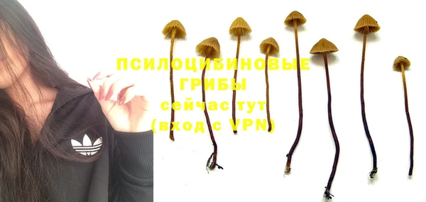 кокс Алзамай