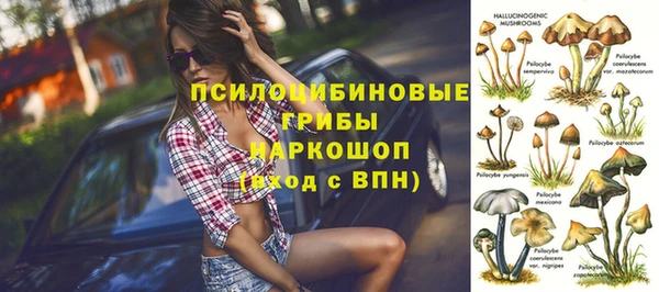 мяу мяу мука Алексеевка