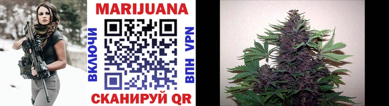 Бошки марихуана THC 21%  Калач-на-Дону 
